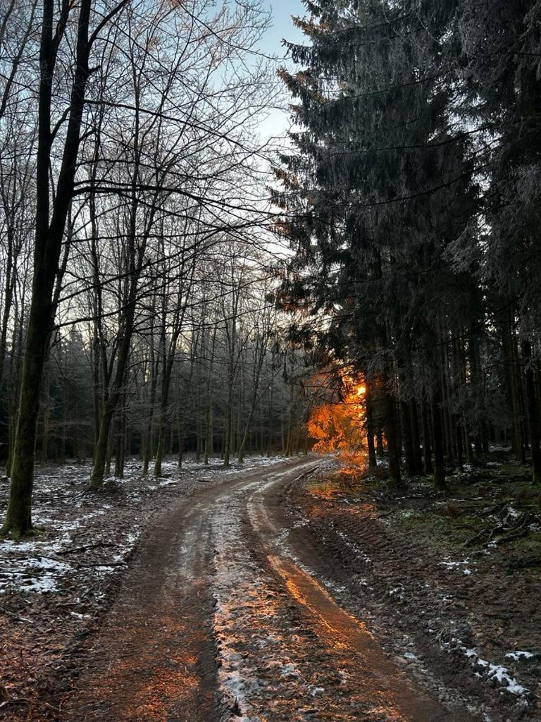 La Planque Du Raton Laveur Aparthotel Lierneux Buitenkant foto